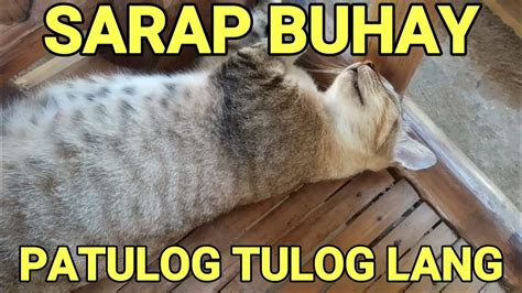 chupa sa tulog|Sarap Tulog .